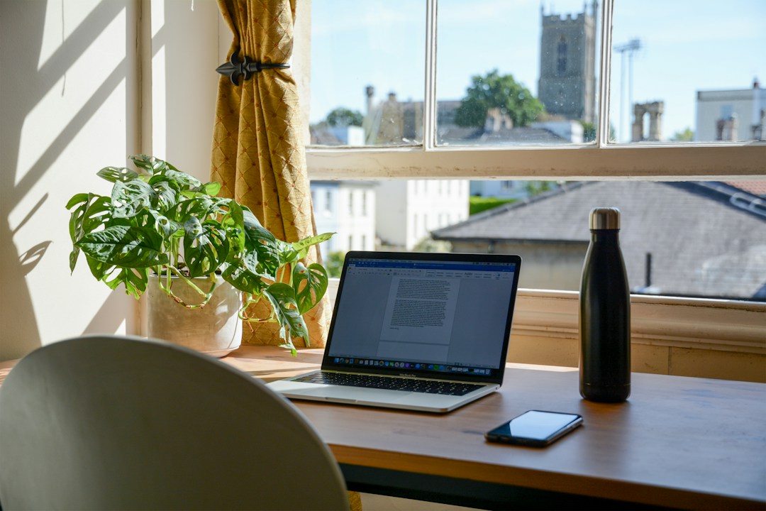 Laptop, coffee and plant in a bright creative workspace